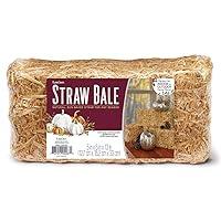 Algopix Similar Product 8 - FloraCraft Decorative Straw Bale 5 Inch
