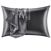 Algopix Similar Product 16 - CozyLux Silk Satin Pillowcase for Hair