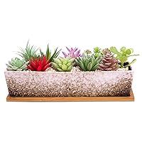 Algopix Similar Product 6 - ARTKETTY Succulent Pots  Large