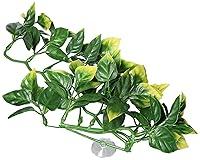Algopix Similar Product 19 - Exo Terra Plastic Terrarium Plant