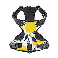 Algopix Similar Product 8 - Xiso Ver Tropical Lemon Dog Harness