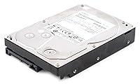 Algopix Similar Product 15 - Hitachi Deskstar 7K1000C 1 Terabyte