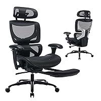 Algopix Similar Product 9 - Ergonomic Mesh Office Chair with