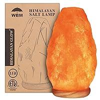 Algopix Similar Product 9 - WBM Salt Lamp  USB Himalayan Salt Lamp