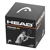 Algopix Similar Product 2 - HEAD Prime Squash Ball, Black, 12 Balls