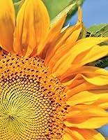 Algopix Similar Product 4 - Sunflower Notebook Large Size 85 x 11