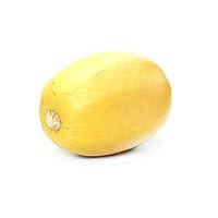 Algopix Similar Product 2 - Organic Spaghetti Squash, 1 Each