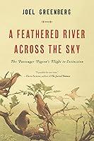 Algopix Similar Product 10 - A Feathered River Across the Sky The