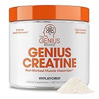 Algopix Similar Product 13 - Genius Micronized Creatine Monohydrate
