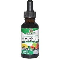 Algopix Similar Product 19 - Natures Answer AFS Hawthorn Berry