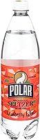 Algopix Similar Product 14 - POLAR BEVERAGES Cranberry Cider
