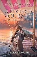 Algopix Similar Product 7 - A Perilous Journey Phoebes Story