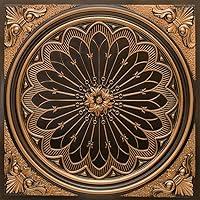 Algopix Similar Product 12 - From Plain To Beautiful In Hours 238