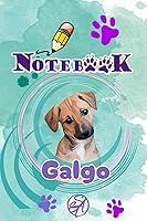 Algopix Similar Product 3 - Libreta Galgo (Spanish Edition)