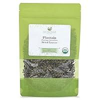 Algopix Similar Product 9 - Pure and Organic Biokoma Plantain Dried