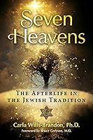 Algopix Similar Product 6 - Seven Heavens The Afterlife in the