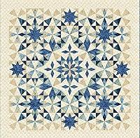 Algopix Similar Product 4 - Laundry Basket Quilts Traditional Quilt