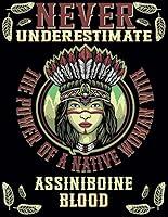 Algopix Similar Product 15 - Native American  Never Underestimate