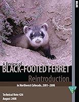 Algopix Similar Product 10 - A Review of Black Footed Ferret