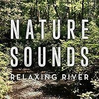 Algopix Similar Product 4 - Relaxing River