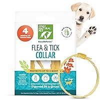 Algopix Similar Product 1 - Only Natural Pet EasyDefense Flea 