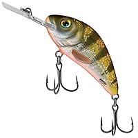 Algopix Similar Product 17 - Salmo RattlinHornet  H45F Yellow
