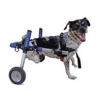 Algopix Similar Product 14 - Walkin Wheels Dog Wheelchair  for