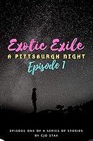 Algopix Similar Product 18 - Exotic Exile: A Pittsburgh Night