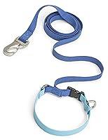 Algopix Similar Product 1 - WEST PAW Jaunts Dog Leash with Comfort