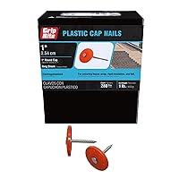 Algopix Similar Product 12 - GripRite 1PRCAP1 12 x 1 Plastic Cap