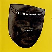 Algopix Similar Product 14 - How I Quit Smoking
