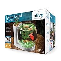 Algopix Similar Product 19 - Elive Betta Fish Bowl  Betta Fish Tank