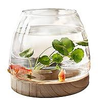 Algopix Similar Product 3 - Glass Fish Bowl with Wooden Base Clear