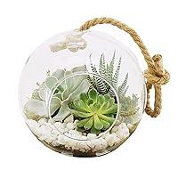 Algopix Similar Product 20 - Arcadia Garden Products TE22 Hanging