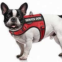 Algopix Similar Product 14 - FAYOGOO Service Dog Vest for Small Dogs