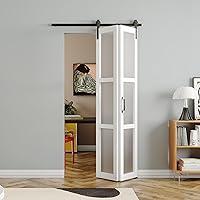 Algopix Similar Product 5 - SOLRIG BiFold Sliding Barn Door 30