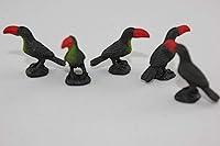 Algopix Similar Product 10 - Safari Tucanes Animals Multicoloured