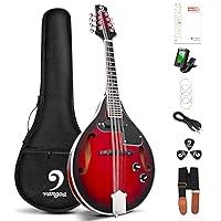 Algopix Similar Product 6 - Mandolin A Style Acoustic Electric