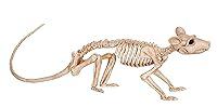 Algopix Similar Product 13 - Crazy Bonez Skeleton - Rat Bonez