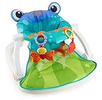 Algopix Similar Product 6 - FisherPrice Portable Baby Chair