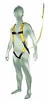 Algopix Similar Product 7 - Safety Works 10067953 Fall Protection