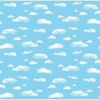 Algopix Similar Product 17 - Pacon PAC56468A1 Fadeless Paper Roll