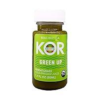 Algopix Similar Product 2 - KOR Shots Organic Green Up Wheatgrass