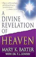 Algopix Similar Product 8 - A Divine Revelation Of Heaven