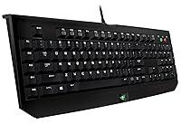 Algopix Similar Product 6 - Razer BlackWidow Stealth Edition Expert