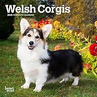 Algopix Similar Product 18 - Welsh Corgis  2025 7 x 14 Inch Monthly