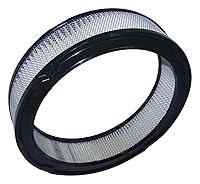 Algopix Similar Product 14 - Crown Automotive Air Filter Air and