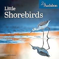 Algopix Similar Product 15 - Audubon Little Shorebirds Mini Wall