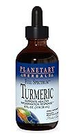 Algopix Similar Product 20 - Planetary Herbals Turmeric Extract Full