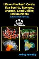 Algopix Similar Product 14 - Life on the Reef Corals Sea Squirts